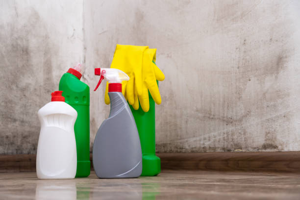 Eagan, MN Mold Remediation Company